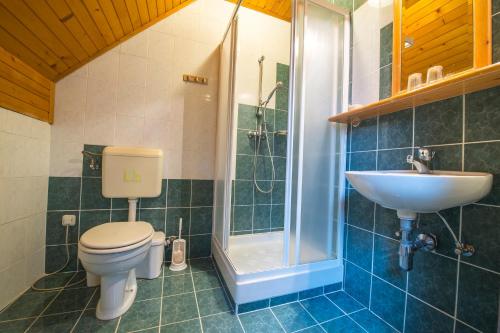 a bathroom with a toilet and a sink and a shower at Guest house Vila Korošec in Bovec