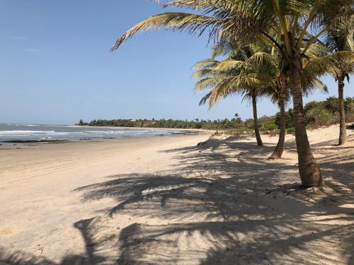 a group of palm trees on a sandy beach at Amigo 2 in Cap Skirring