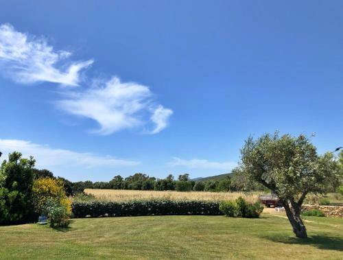 a field with a tree in the middle of a field at Inghirios Wellness Country Resort in Santa Maria la Palma