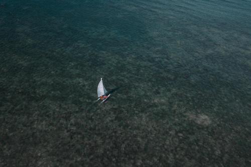 a white bird flying over the water at Ten RooMs in Telukbakau