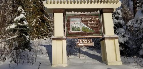 Silver Star Bed and Breakfast v zimě