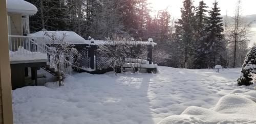 Silver Star Bed and Breakfast v zimě