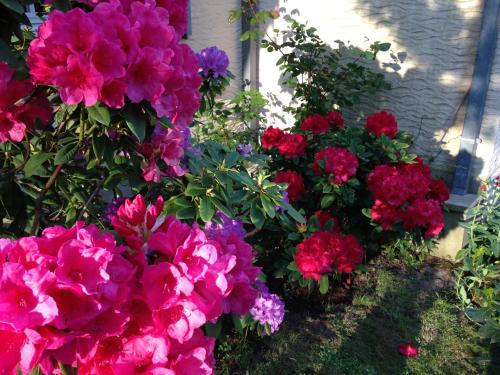a bunch of pink and purple flowers next to a building at Nature Et Plage in Audembert