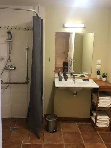 Kylpyhuone majoituspaikassa Gite Le Rucher