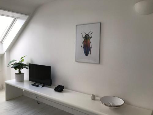 Habitación con escritorio, TV y una foto de un escarabajo. en City Apartment gegenüber vom Kurhaus en Freudenstadt