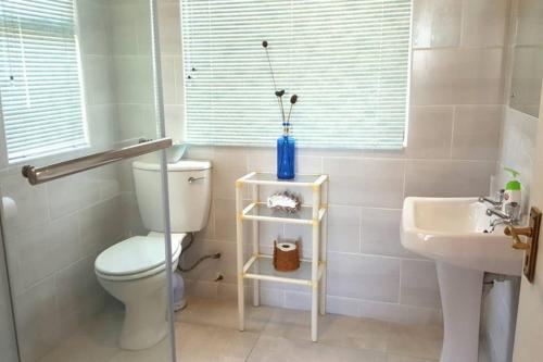 a white bathroom with a toilet and a sink at Harbour View Guest Suite in Cape Town