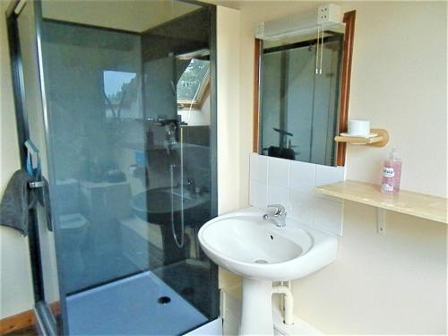 uma casa de banho com um lavatório e um chuveiro em Gites at La Maison Sans Souci em Le Guislain