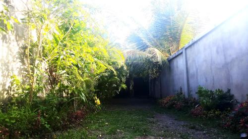 a garden with a fence and some trees and plants at Eagle Homestay in Tangalle