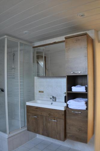 クアオルト・オーバーヴィーゼンタールにあるFerienwohnung im Alten Zollhausの洗面台とシャワー付きのバスルーム