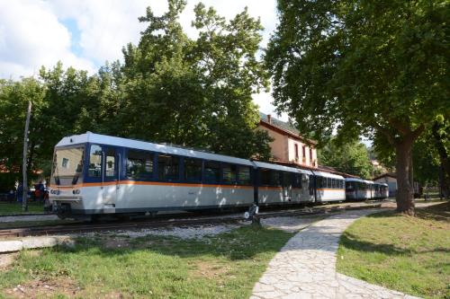 a train is on the tracks next to a tree at Country Stone House ,next to Kalavrita in Kalavrita