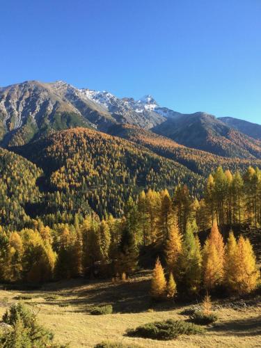 a hillside with trees and mountains in the background at Chesa Sper l'Ovel Brail in Zernez