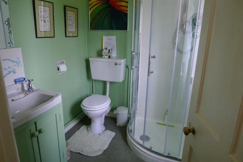 baño verde con aseo y ducha en Garwood House, en Holt