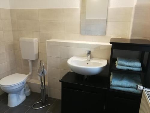 a bathroom with a sink and a toilet and a mirror at Gästewohnung in Cottbus-Klein Ströbitz in Cottbus