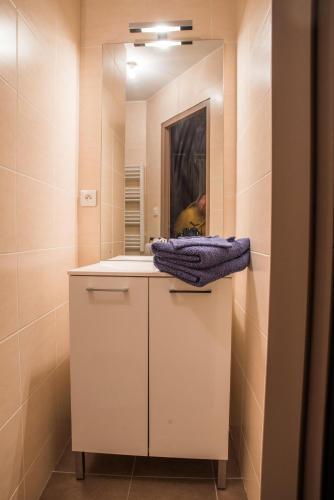une salle de bain avec un lavabo et un miroir dans l'établissement Studio Sainte Marie la Blanche, à Sainte-Marie-la-Blanche