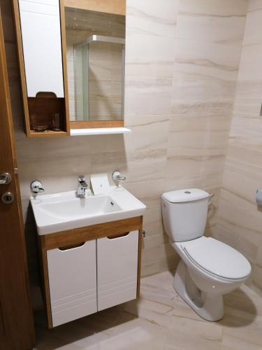 a bathroom with a toilet and a sink and a mirror at Vila Meridijan in Zlatibor