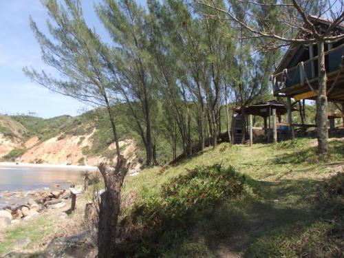 un gruppo di animali su una collina vicino all'acqua di Recanto Vó Terezinha a Imbituba
