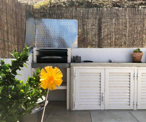 a yellow flower is sitting next to a grill at Casa da Pedra - Aljezur, always the sun in Aljezur