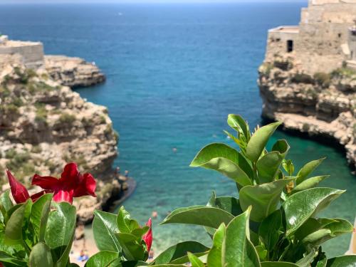 a red flower in front of a view of the ocean at POSEA - Polignano Sea Suites in Polignano a Mare