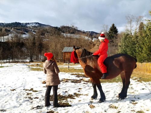 une personne dans un chapeau de santa assise sur un cheval dans l'établissement Pension Casa Aurora, à Vama