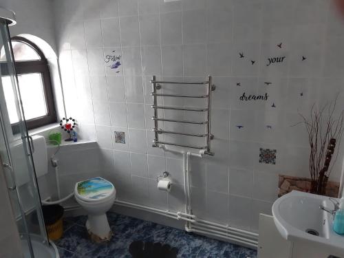a bathroom with a toilet and a sink at CASA DINTRE PINI in Păltinoasa