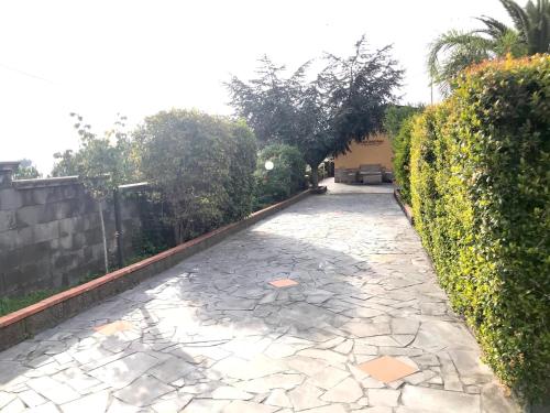 a stone walkway in a yard next to a hedge at Dependance in villa, Etna, natura, relax in Nicolosi