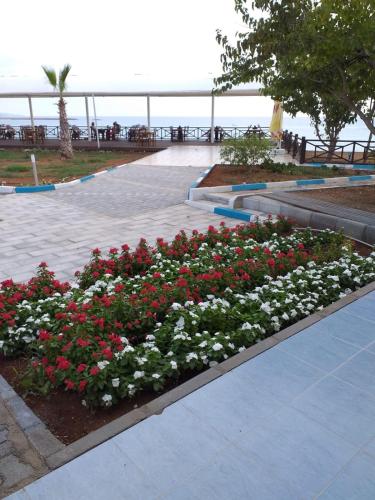 Κήπος έξω από το Livana Hotel
