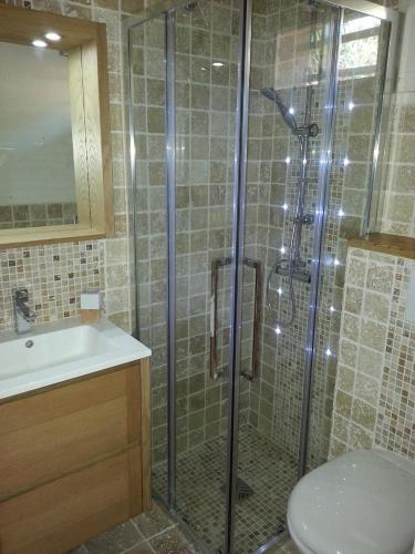 une salle de bain avec une douche, des toilettes et un lavabo dans l'établissement Mas de l île rousse, à Bandol