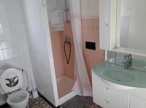 uma casa de banho com um chuveiro, um WC e um lavatório. em Appartement été et hiver 1 à 5 pers. Cauterets em Cauterets