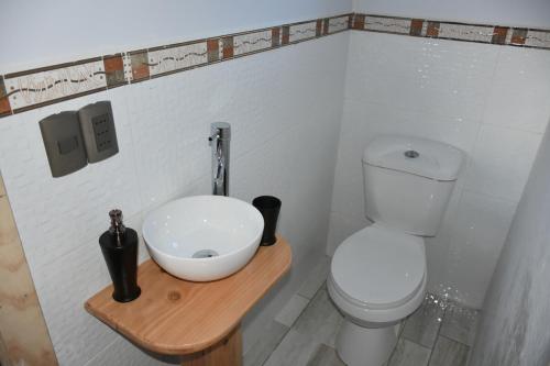 a bathroom with a white toilet and a sink at El Granero de la Abuela in Futrono