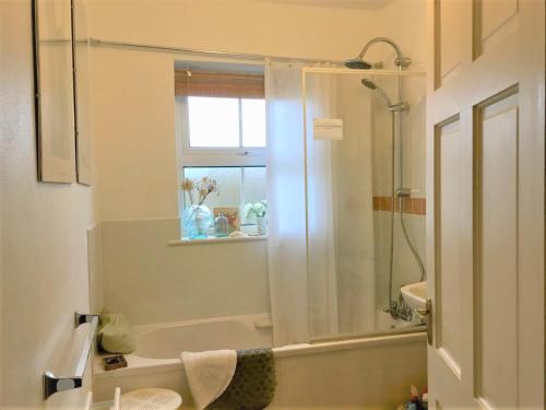La salle de bains est pourvue d'une douche et d'un lavabo. dans l'établissement Ravens Oak, West Cork, à Bantry