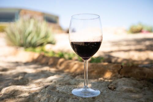 a glass of red wine sitting on the ground at Desert Shade camp חוות צל מדבר in Mitzpe Ramon