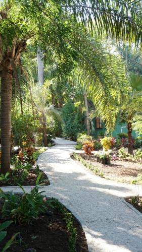 a pathway with trees and plants in a garden at SoulShine in Playa Avellana