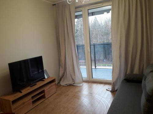 - un salon avec une télévision et une grande fenêtre dans l'établissement Apartament Wiosenna, à Białystok