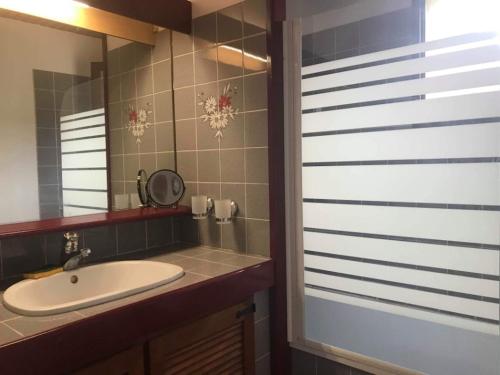 La salle de bains est pourvue d'un lavabo et d'un miroir. dans l'établissement Gite Prat de sempé, à Vignec