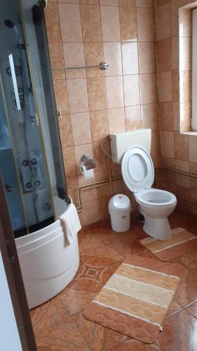 Gallery image of Casa Nicoleta in Gura Humorului