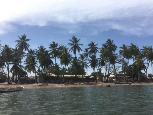 Jinack IslandにあるFeel Free Lodgeのヤシの木と水上ボートが植わるビーチ