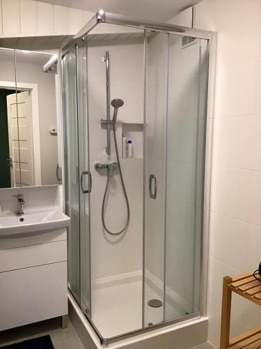 a glass shower in a bathroom with a sink at Apartament Karpaty in Krynica Zdrój