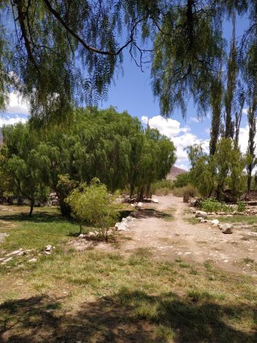 Pircas del Abuelo – Photos 3