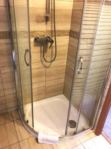 a shower with a glass door in a bathroom at Apartamenty Pałacowe in Białystok