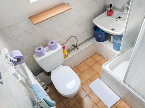 a bathroom with a toilet and a sink at Pohoda u Lva in Nová Pec