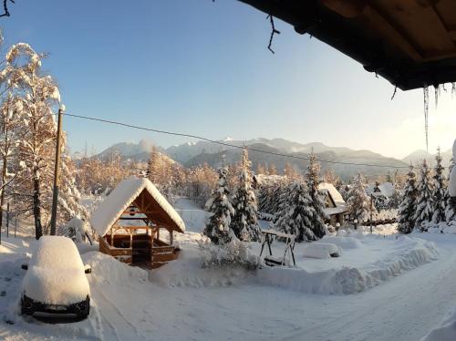 a cabin in the snow with snow covered trees at Willa Królewska - Wellness SPA - widokowe Pokoje i Apartamenty in Kościelisko