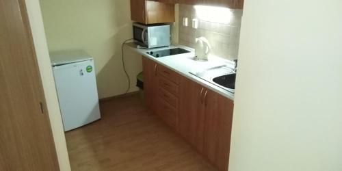 eine kleine Küche mit einer Spüle und einer Mikrowelle in der Unterkunft Apartmán Karin in Oščadnica