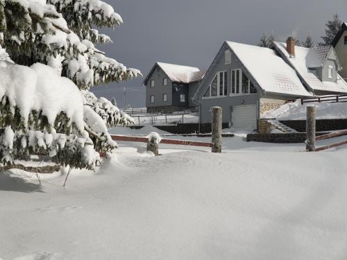 a snow covered yard with a house and a tree at Home Belić Golija in Radaljica