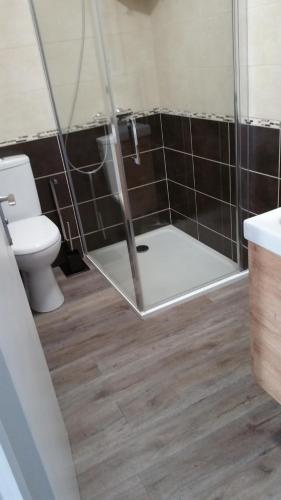 une salle de bain avec une douche avec des toilettes et un lavabo dans l'établissement petite maison de vacance, à Grandcamp-Maisy