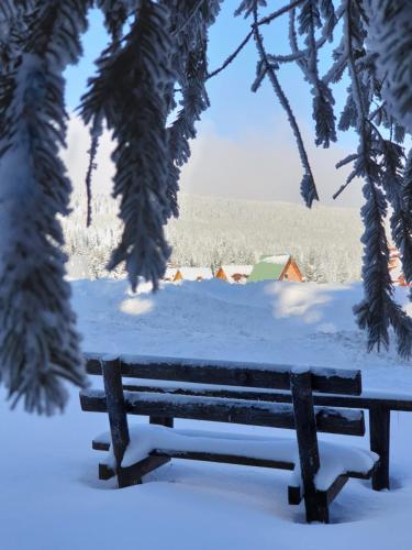 a park bench covered in snow under a tree at Home Belić Golija in Radaljica