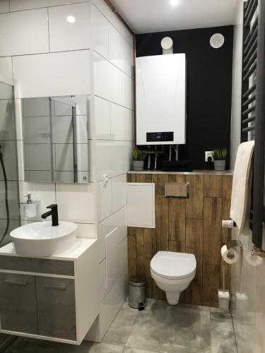 a bathroom with a sink and a toilet and a mirror at Apartament Przy Promenadzie in Jelenia Góra