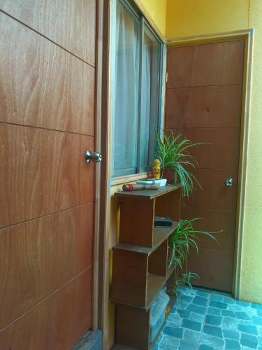 a room with a door and a shelf next to a plant at HOSPEDAJE LA REINA u in Santiago