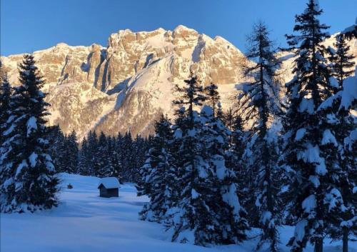 a snow covered mountain in front of trees and a cabin at Condominio Ginepro in Carisolo