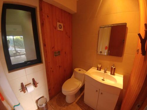 a bathroom with a toilet and a sink and a mirror at La Rueda del Chucao in Valdivia