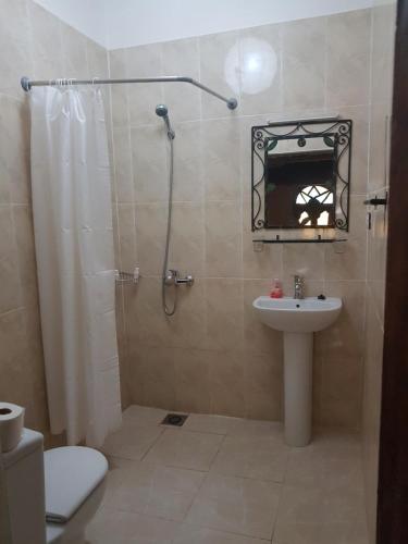 uma casa de banho com um chuveiro, um lavatório e um WC. em Rose du Sable em Agdz